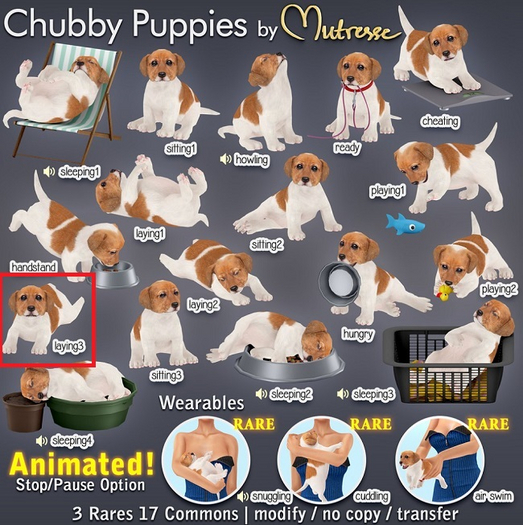 Mutresse-Laying3-Chubby Puppies