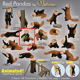 Mutresse - Eating 2 - Red Pandas