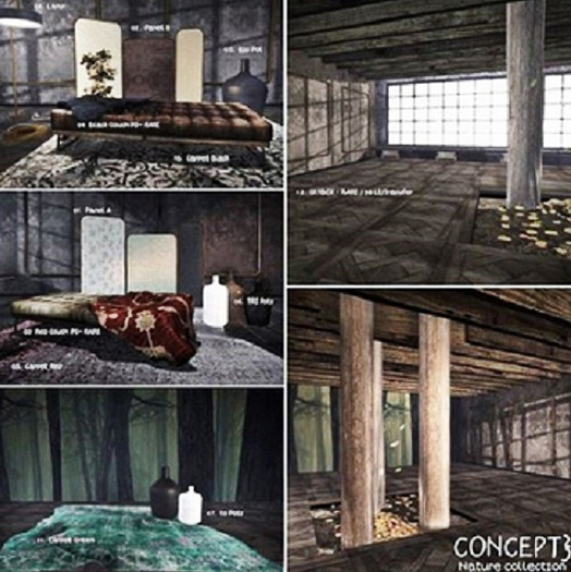12. Concept} Nature - SKYBOX - RARE