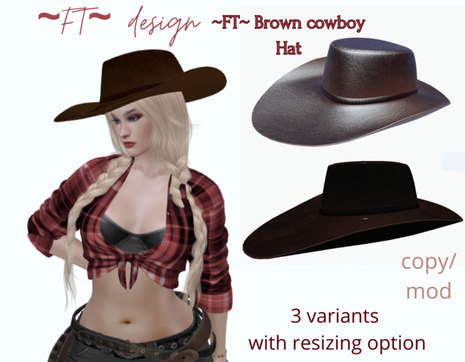 ~FT~ Brown cowboy hat 