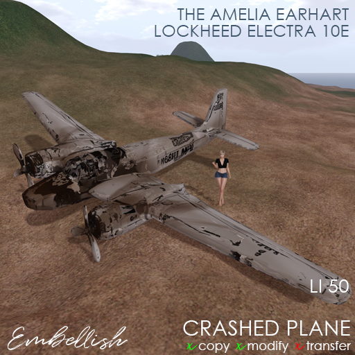 Amelia Earhart's Crashed Plane