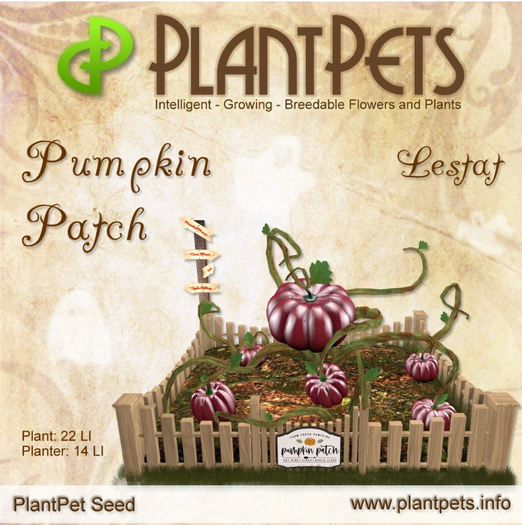 PlantPet Seed [Pumpkin Patch *Lestat*]