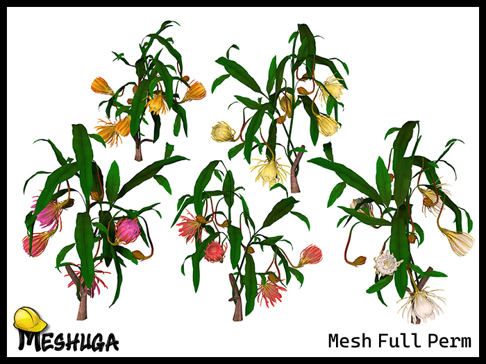 Meshuga E Rondo Second Life Marketplace - Meshuga Spring Flowers - Himalayan Lotus Pack ...