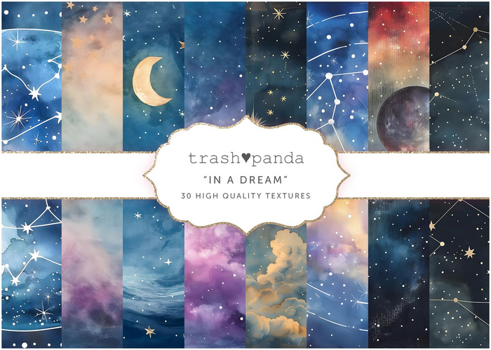 Trash Panda - In a Dream