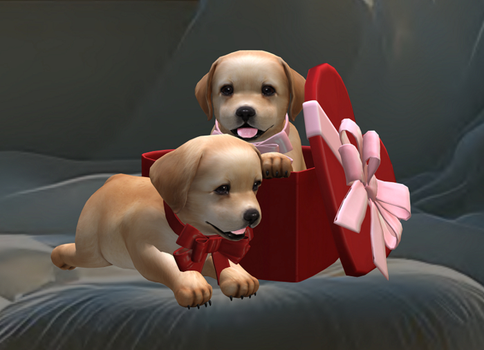 Foxes - Lovely Lab - Gift box Decor