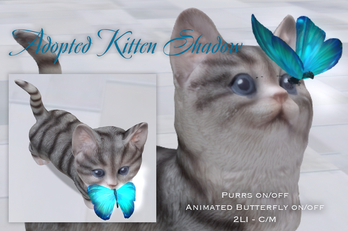 Studio Craft * Adopted Kitten Shadow Unpacker