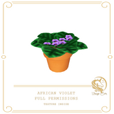Full Perm African Violet