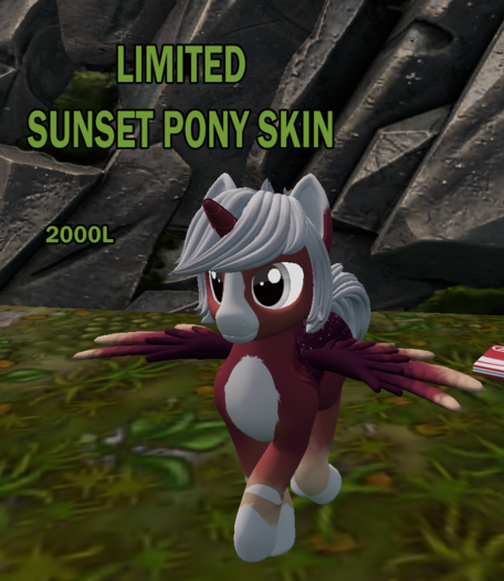 Sunset pony (LIMITED)