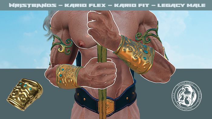 [FF] Wristbands