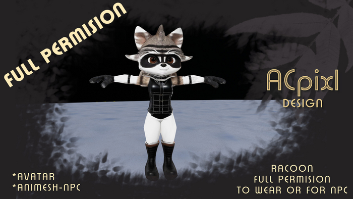 Racoon wear and npc