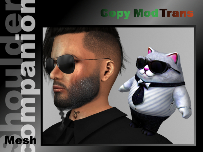 Cat in Tuxedo  (shoulder companion)
