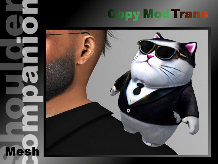 Cat in Tuxedo  (shoulder companion)