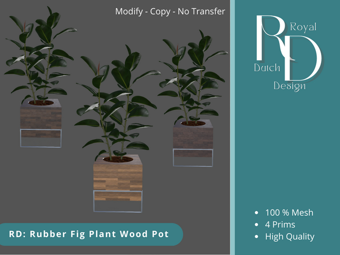RD: Rubber Fig Plant