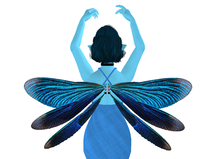 Shiny Blue Dragonfly Wings