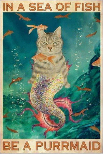 FFA+ Cat Purrmaid Poster
