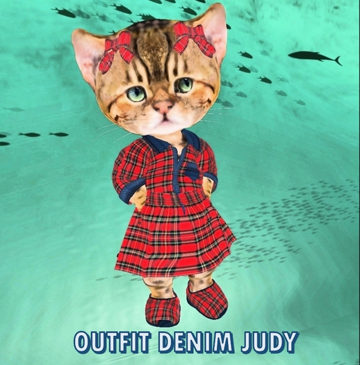 outfit  DENIM Judy red