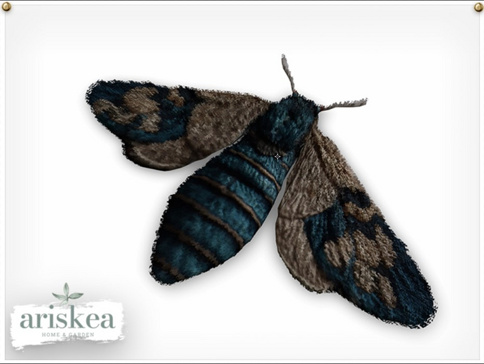 Ariskea [Flutter] Moth [Blue]