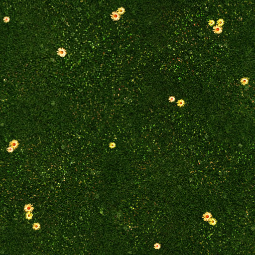 Grass (5)
