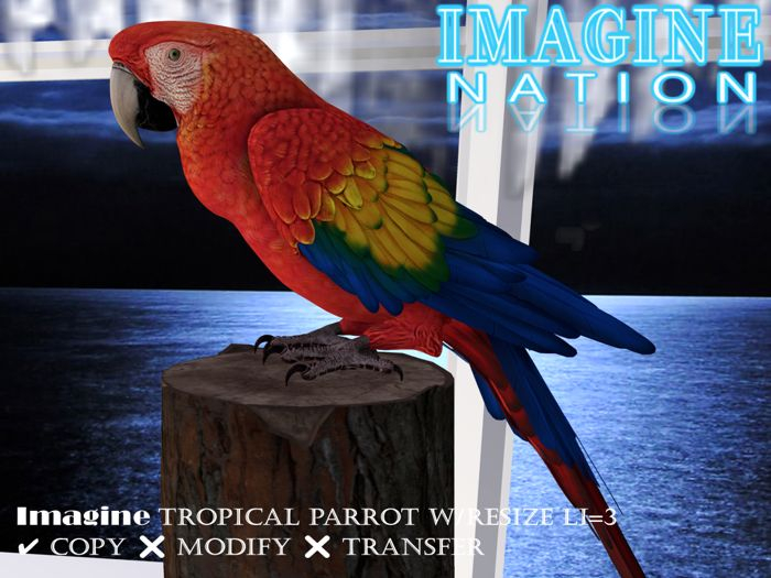 Imagine Tropical Parrot wResize
