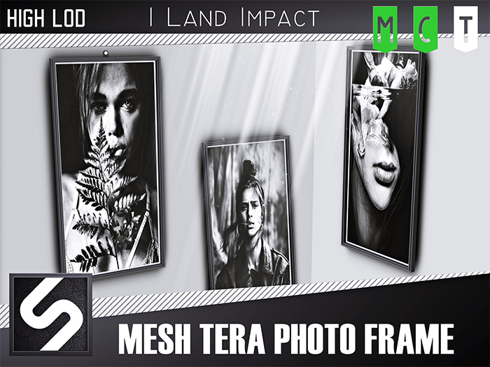 [SARAC BW] Mesh Tera Photo Frame