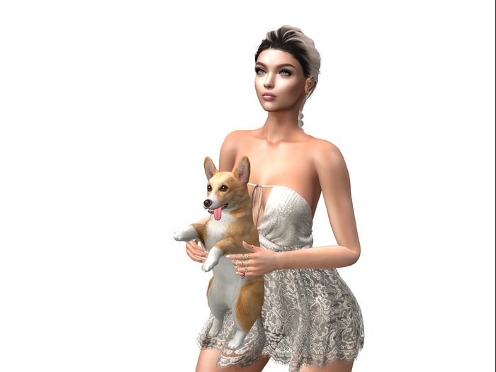 18-Mutresse-Quirky Corgis RARE