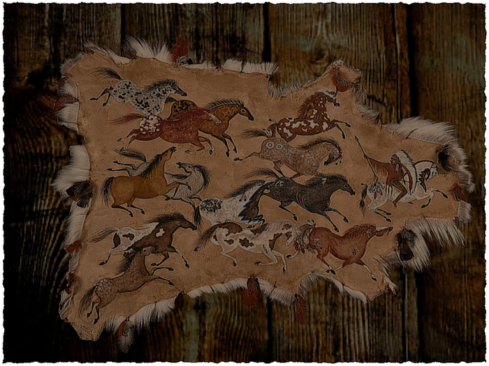 "Freedom" - Native Indigenous Art Skin