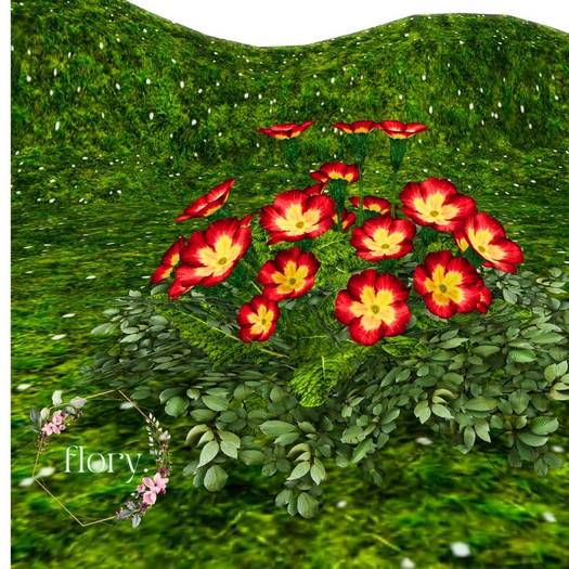 flory. - Primroses Flowers Red