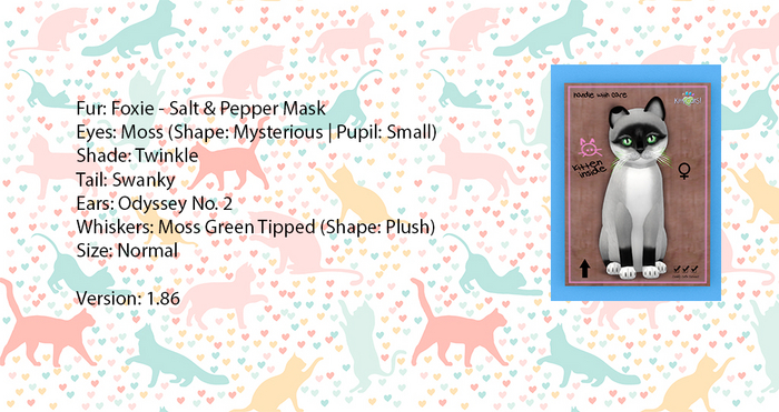 KittyCatS Box - Foxie - Salt & Pepper Mask