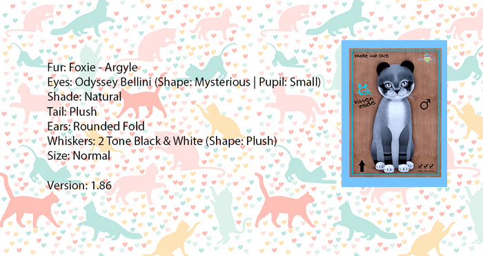 KittyCatS Box - Foxie - Argyle