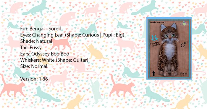 KittyCatS Box - Bengal - Sorell