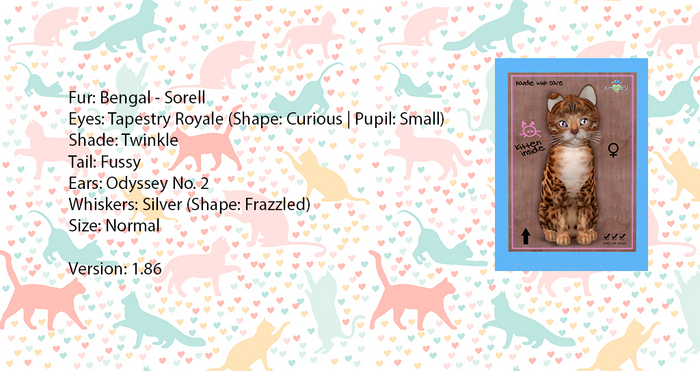 KittyCatS Box - Bengal - Sorell