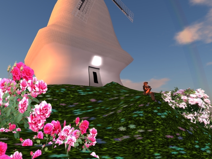 Arkad's Offsim Windmill white w/ roses and cuddle poses
