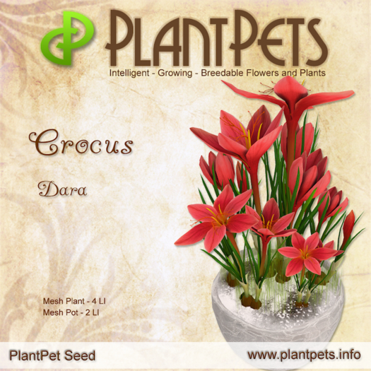 PlantPets Crocus *Dara* Texture