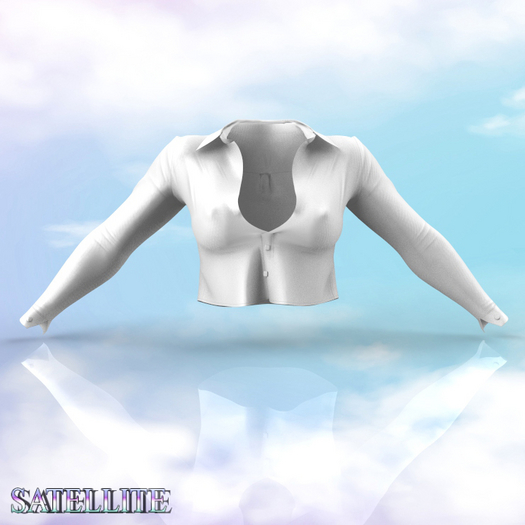 LaraX Blouse