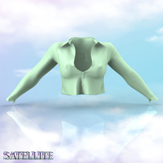 LaraX Blouse