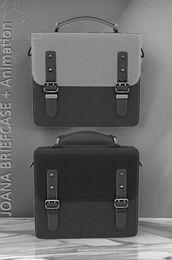 *.:Dark Cat:.*ACC- JOANA BRIEFCASE DEMO