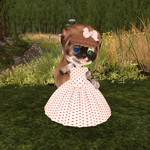 Dinkie - Bella Strawberry Dress