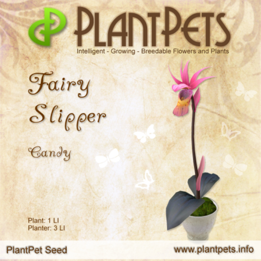 PlantPet Seed [Fairy Slipper *Candy*]