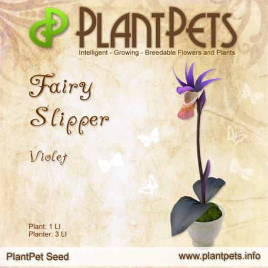 PlantPet Seed [Fairy Slipper *Violet*]