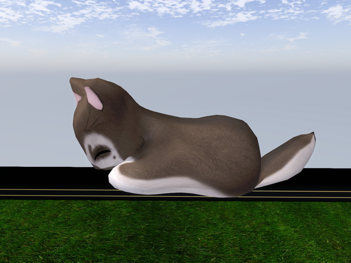 Stray Cats Kitten - Stray Kitty (F)