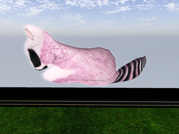 Stray Cats Kitten - Stray Kitty (F)