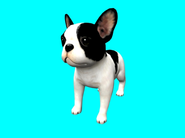 French Bulldog COPY/MOD