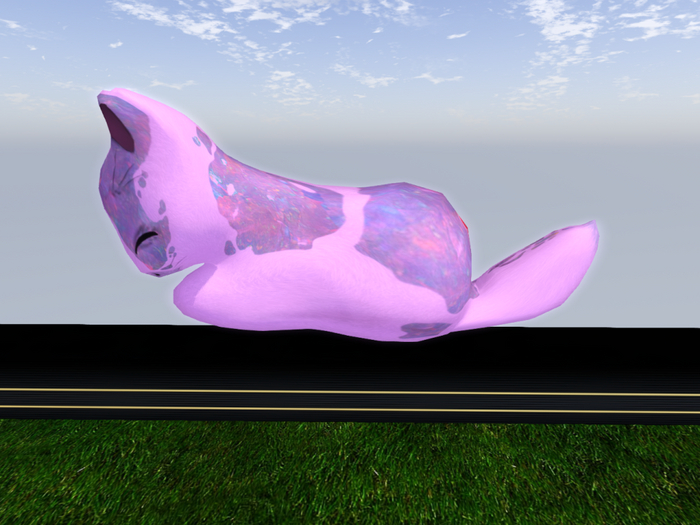 Stray Cats Kitten - Stray Kitty (M)