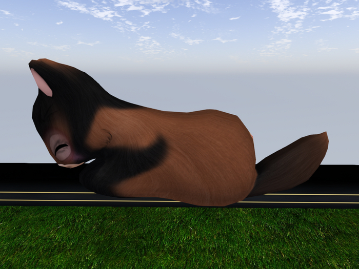 Stray Cats Kitten - Stray Kitty (M)