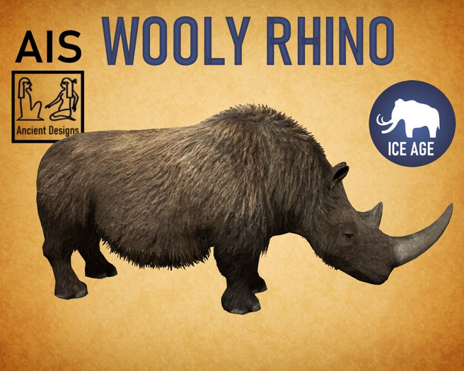 Wooly Rhino Adult