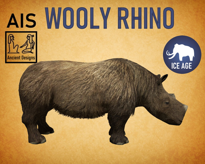 Wooly Rhino Young