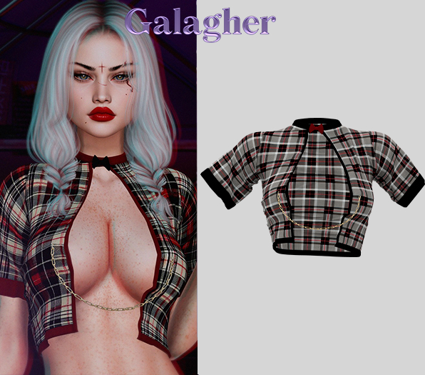 Galagher - Molly Edition 6