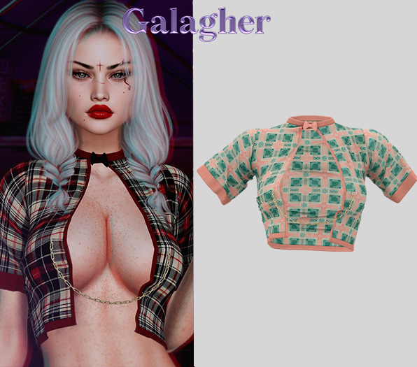 Galagher - Molly Edition 2