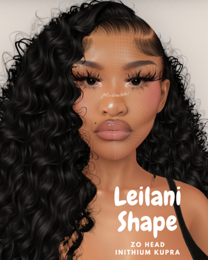 Hexify // Leilani Shape