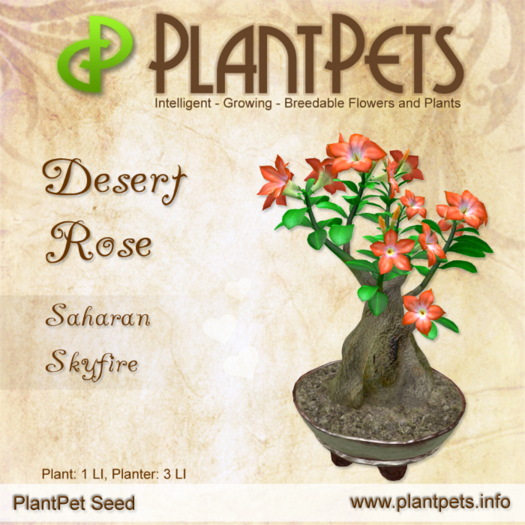 PlantPet Seed [Desert Rose *Saharan Skyfire*]
